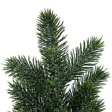 Northlight Mini Iced Pine Artificial Christmas Trees 3-piece Set