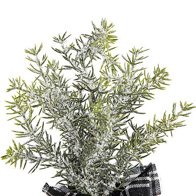 Northlight Mini Frosted Pine Artificial Christmas Trees 3-piece Set