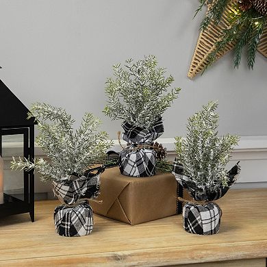 Northlight Mini Frosted Pine Artificial Christmas Trees 3-piece Set