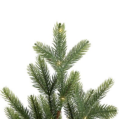 Northlight Pre-Lit Artificial Pine Christmas Tree with Basket Base