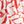 Coral Painted Floral