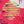Red Coconut Tree