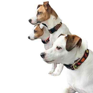 Up Country Boo Halloween Dog Collar (x-large (18-24”) 1" Wide)