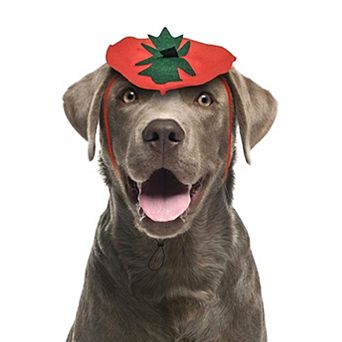 Midlee Dog Pumpkin Headband Halloween Costume