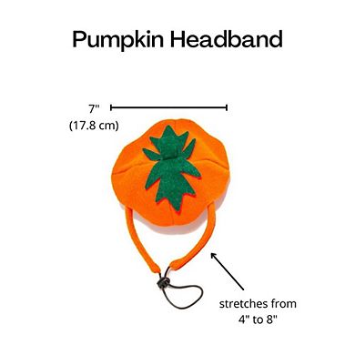 Midlee Dog Pumpkin Headband Halloween Costume