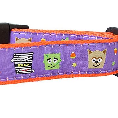 Midlee Halloween Motif Dog Collar