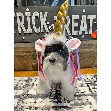 Midlee Dog Unicorn Horn Headband Halloween Costume