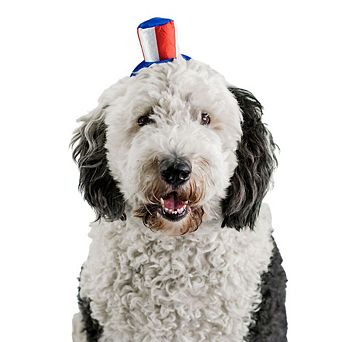 Midlee Uncle Sam 4th Of July Hat For Large Dogs Headband- Captain Halloween Costume