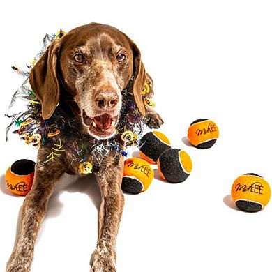 Midlee Orange/black Dog Halloween Tennis Balls- Set Of 6