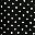 Black Ivory