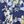 Navy Florabelles