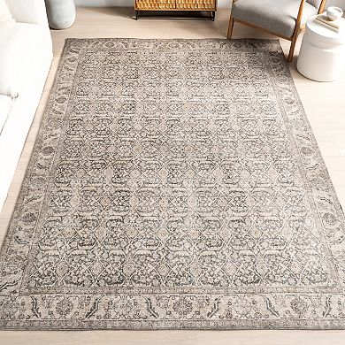 nuLOOM Hillstone Collection Traditional Vintage Medallion Area Rug