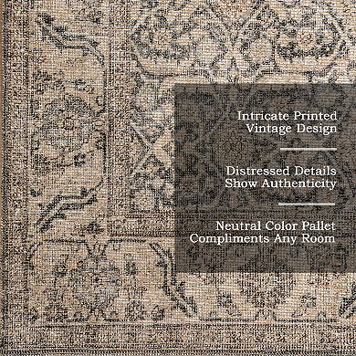 nuLOOM Hillstone Collection Traditional Vintage Medallion Area Rug
