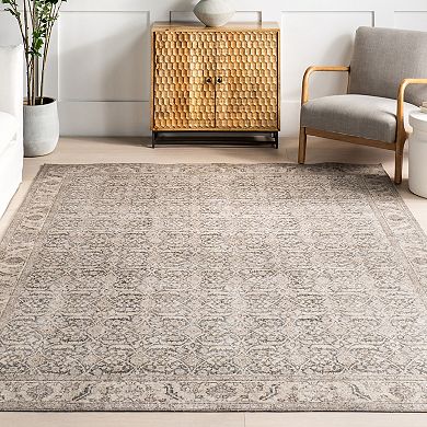 nuLOOM Hillstone Collection Traditional Vintage Medallion Area Rug