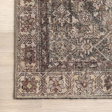 nuLOOM Hillstone Collection Traditional Vintage Medallion Area Rug
