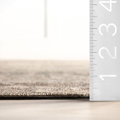 nuLOOM Hillstone Collection Traditional Vintage Medallion Area Rug