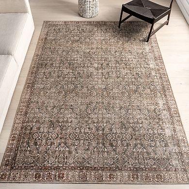 nuLOOM Hillstone Collection Traditional Vintage Medallion Area Rug