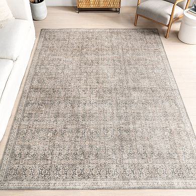 nuLOOM Hillstone Collection Traditional Vintage Medallion Area Rug