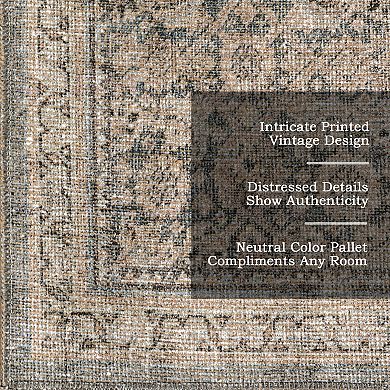 nuLOOM Hillstone Collection Traditional Vintage Medallion Area Rug