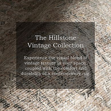 nuLOOM Hillstone Collection Traditional Vintage Medallion Area Rug