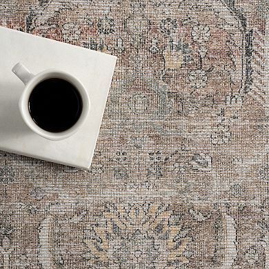 nuLOOM Hillstone Collection Traditional Vintage Medallion Area Rug