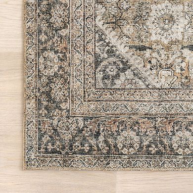 nuLOOM Hillstone Collection Traditional Vintage Medallion Area Rug