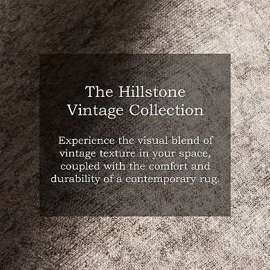 nuLOOM Hillstone Collection Traditional Vintage Medallion Area Rug