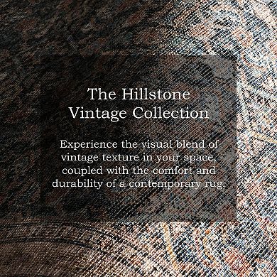 nuLOOM Hillstone Collection Traditional Vintage Medallion Area Rug