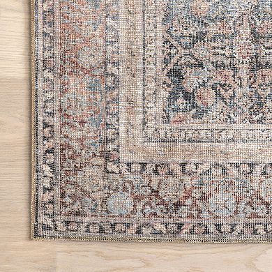 nuLOOM Hillstone Collection Traditional Vintage Medallion Area Rug
