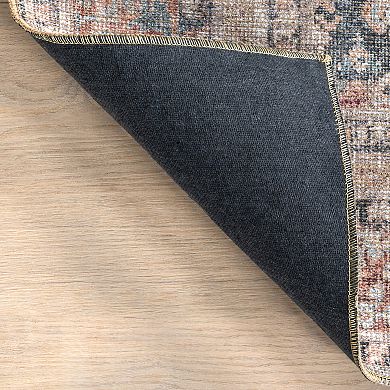 nuLOOM Hillstone Collection Traditional Vintage Medallion Area Rug