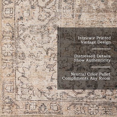 nuLOOM Hillstone Collection Traditional Vintage Medallion Area Rug
