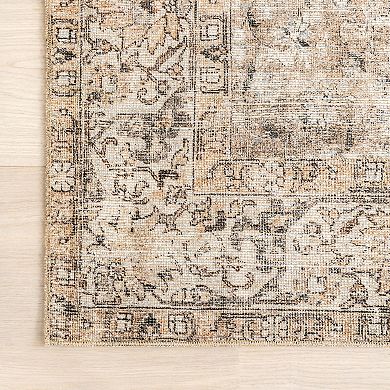 nuLOOM Hillstone Collection Traditional Vintage Medallion Area Rug