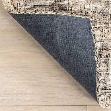 nuLOOM Hillstone Collection Traditional Vintage Medallion Area Rug