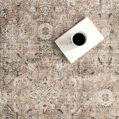 nuLOOM Hillstone Collection Traditional Vintage Medallion Area Rug