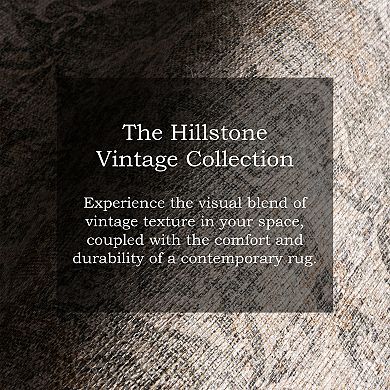 nuLOOM Hillstone Collection Traditional Vintage Medallion Area Rug