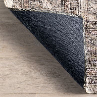 nuLOOM Hillstone Collection Traditional Vintage Medallion Area Rug