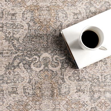 nuLOOM Hillstone Collection Traditional Vintage Medallion Area Rug