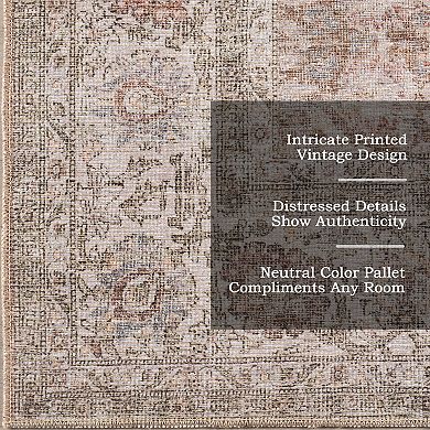 nuLOOM Hillstone Collection Traditional Vintage Medallion Area Rug