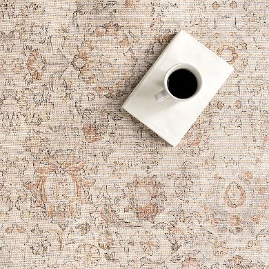 nuLOOM Hillstone Collection Traditional Vintage Medallion Area Rug