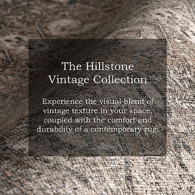 nuLOOM Hillstone Collection Traditional Vintage Medallion Area Rug