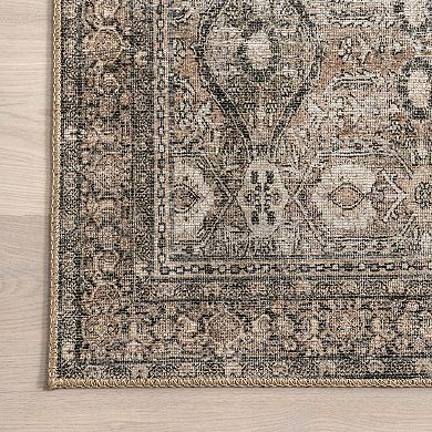 nuLOOM Hillstone Collection Traditional Vintage Medallion Area Rug