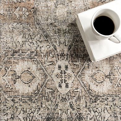 nuLOOM Hillstone Collection Traditional Vintage Medallion Area Rug
