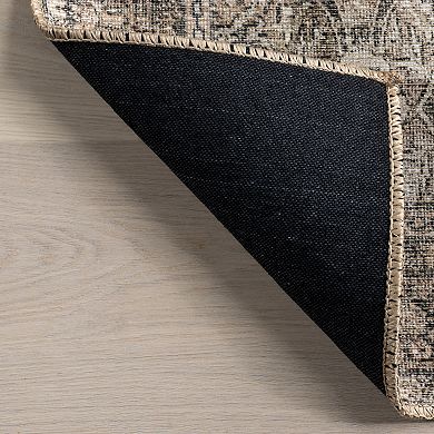 nuLOOM Hillstone Collection Traditional Vintage Medallion Area Rug