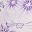 Pale Lilac Floral