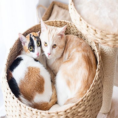 Petpals Sustainable Handwoven Cat Tree - 23"h, 2 Level, Medium, Cozy