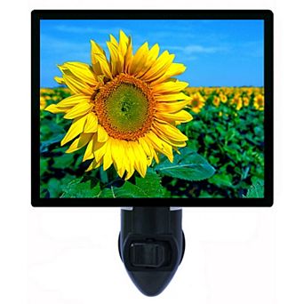 Sunflower Field. Decorative Photo Night Light.