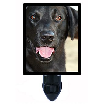 Black Lab. Labrador Retriever Dog Decorative Photo Night Light.