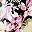 Black Multi Floral