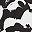 Black White Abstract