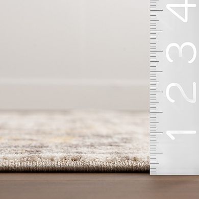 nuLOOM Devaki Traditional Medallion Area Rug